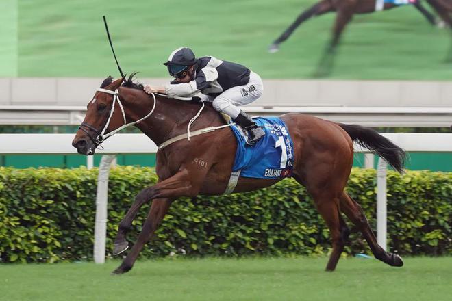 罩夺魁家族曾养香港马王m6米乐王经纬赛驹戴眼(图2)