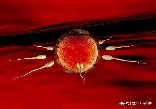 及孕期需要注意什么呢？-优孕行米乐m6登录入口高龄女性备孕
